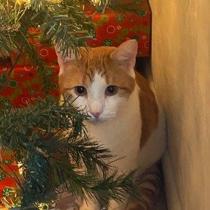 Meet your Posher, Jim